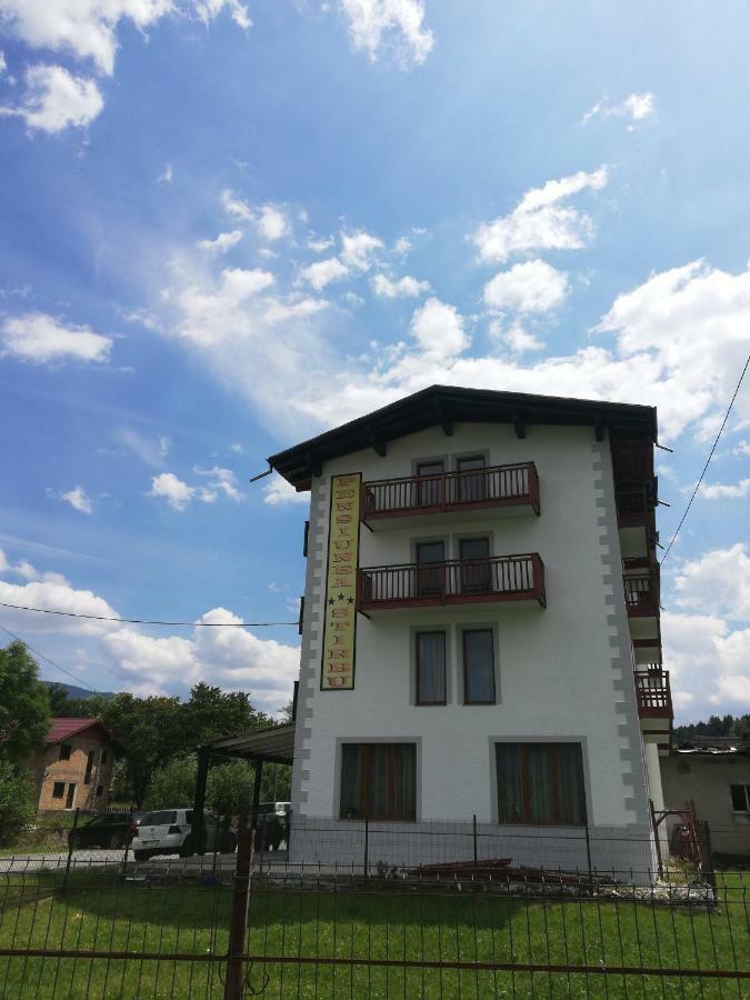 Pensiune Stirbu Hotel Borsa  Exterior photo